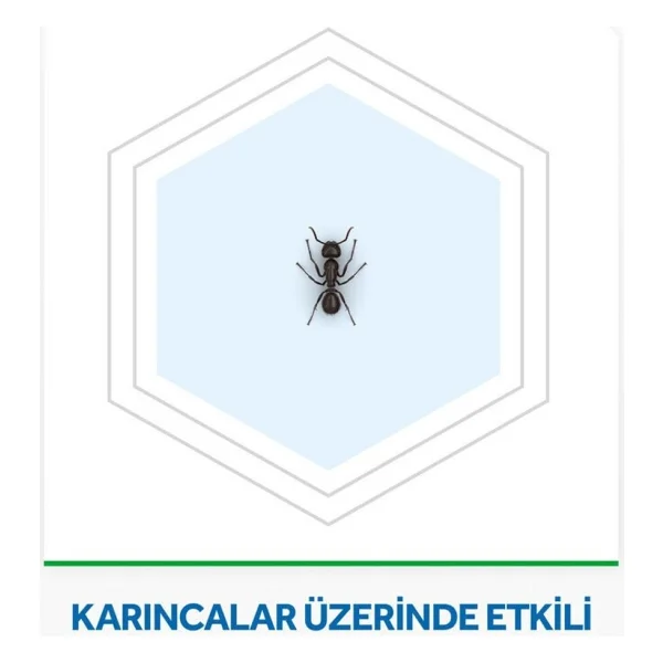 Raid Kokusuz Karınca Yemi - Uzun Süreli Etki, 3 G X 2 Adet, Pratik Kullanım Ve Hızlı Sonuç İçin Güçlü Formül - Görsel 3