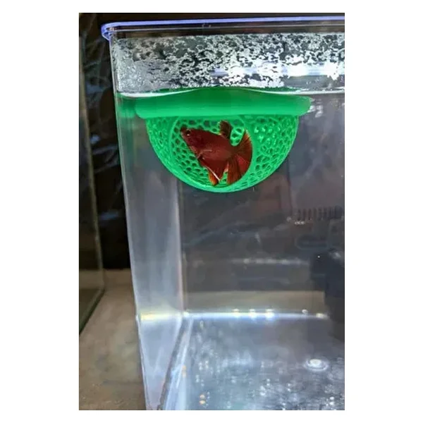 Beta Saklanma Evi Ve Yumurta Saklama Alanı Beta Yüzer Mağara 9 Cm Akvaryum Dekoru Mavi - Görsel 6