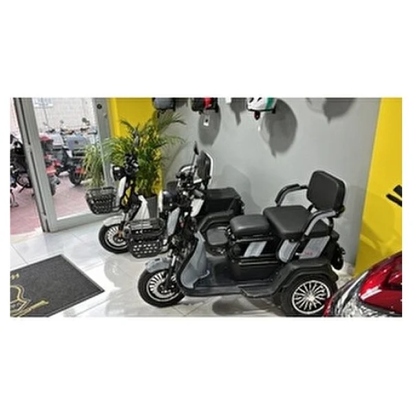 Motolux Fayton Fx08 600 W 3 Tekerlekli Elektrikli Motosiklet - Görsel 2