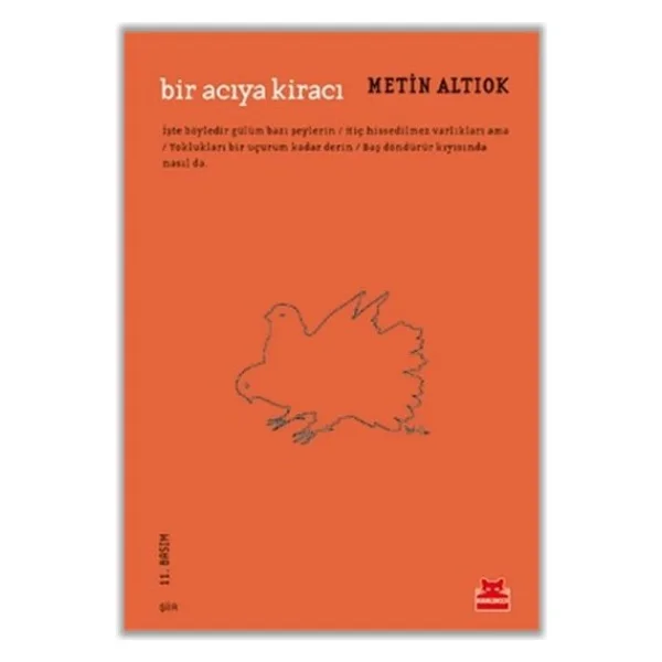 Bir Acıya Kiracı - Metin Altıok - Görsel 2