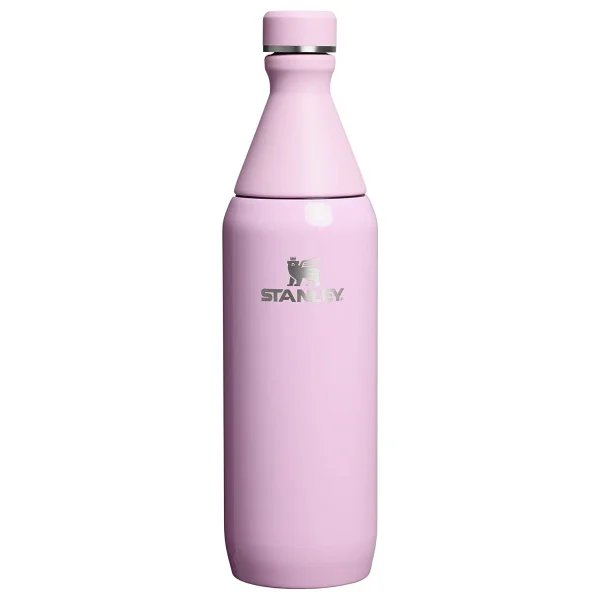 Stanley The All Day Slim Pembe 0.60 Lt Soğuk Su Termosu - Görsel 5