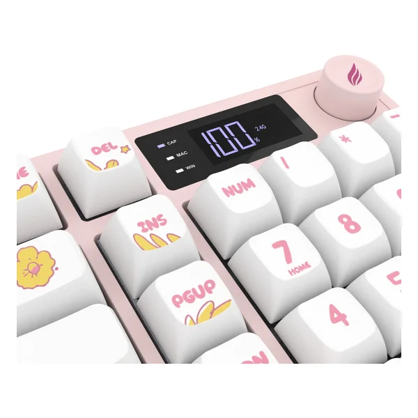Hawk Gaming Hk258 Beyaz-Pembe RGB Membrane Switch Kablolu/Kablosuz Oyuncu Klavyesi - Görsel 8