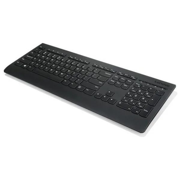 Lenovo Professional 4x30h56827 Kablosuz Klavye Mouse Seti - Görsel 2