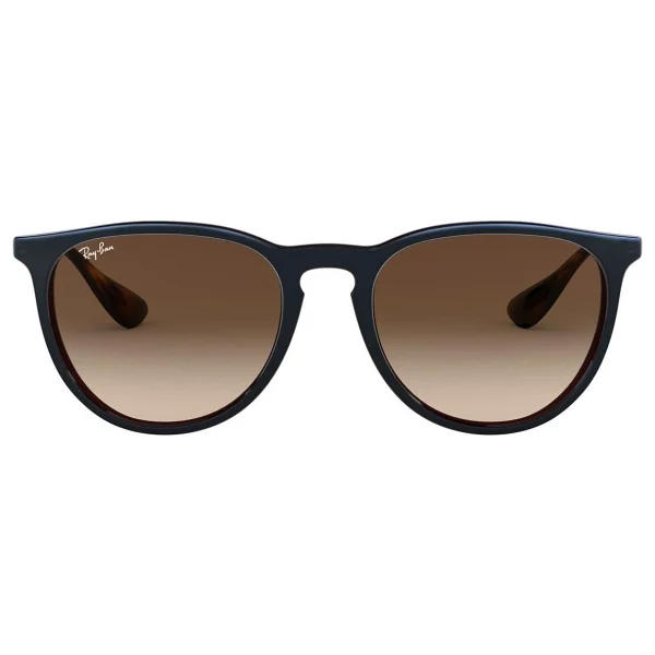 Ray-Ban Erika 4171 Güneş Gözlüğü - Görsel 2