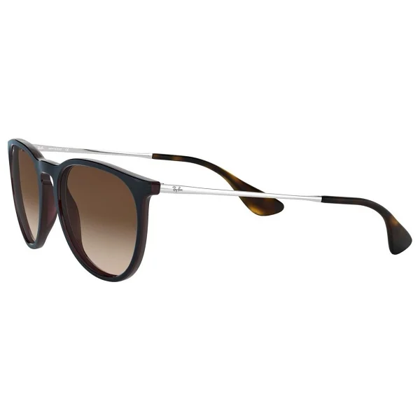 Ray-Ban Erika 4171 Güneş Gözlüğü - Görsel 3