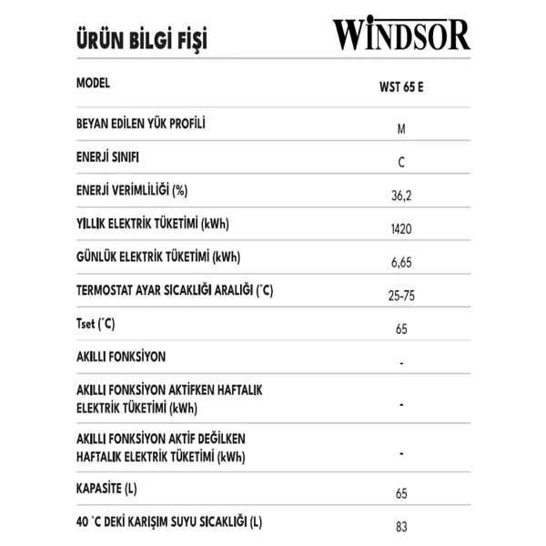 Windsor Wst 65 E 2000 W 65 Lt Termosifon - Görsel 4