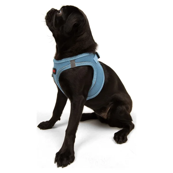 Tailpetz Air Mesh Harness 2xs Mavi Köpek Gögüs Tasması - Görsel 5