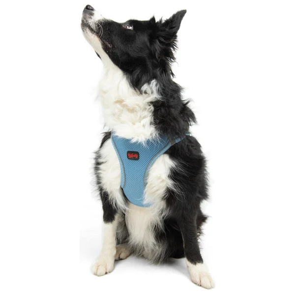 Tailpetz Air Mesh Harness 2xs Mavi Köpek Gögüs Tasması - Görsel 7
