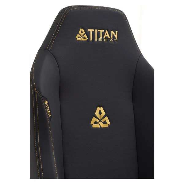 Titan Seat Throne Gold Deri Oyuncu Koltuğu - Görsel 2
