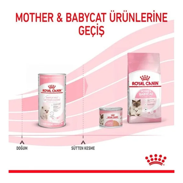 Royal Canin Babycat Milk 300 Gr Yavru Kedi Süt Tozu - Görsel 2