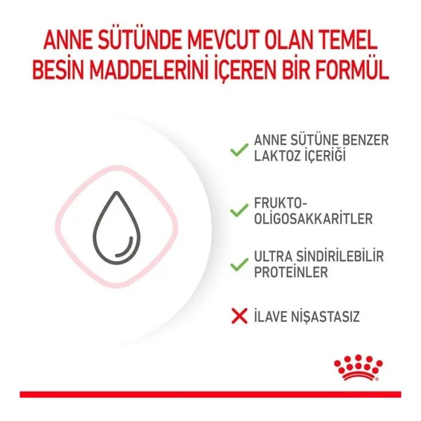 Royal Canin Babycat Milk 300 Gr Yavru Kedi Süt Tozu - Görsel 5