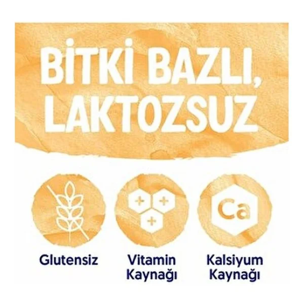 Alpro Vanilya Badem Içeceği 2x1 Lt - Görsel 6