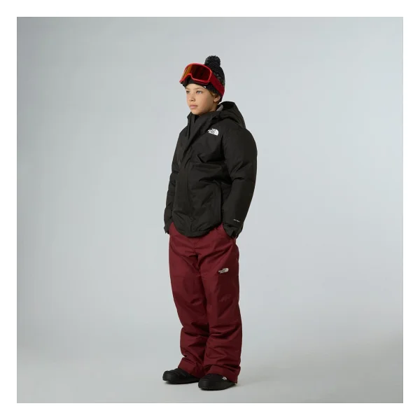 The North Face Teen Snowquest Jacket Çocuk Ceket Nf0a8ejqjk31 Siyah - Görsel 4