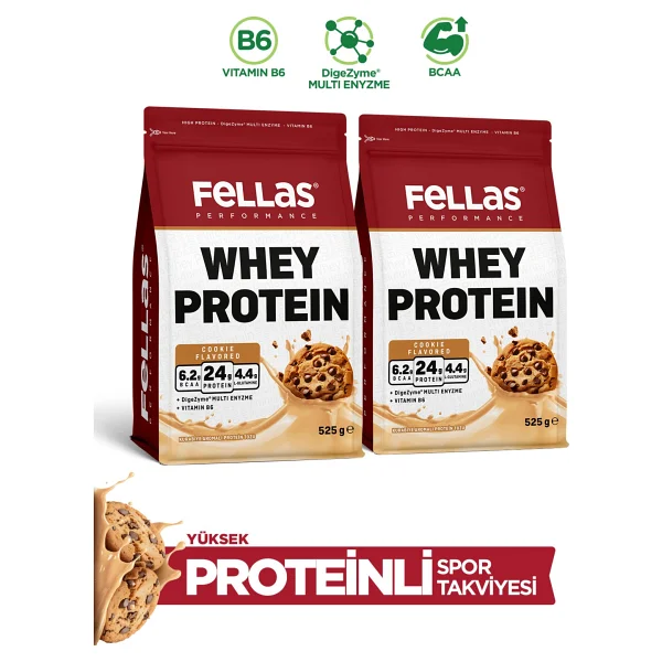 Fellas Performance 525 Gr 2 Adet Whey Protein Tozu - Görsel 10