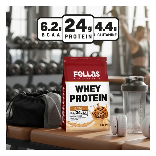 Fellas Performance 525 Gr 2 Adet Whey Protein Tozu - Görsel 4
