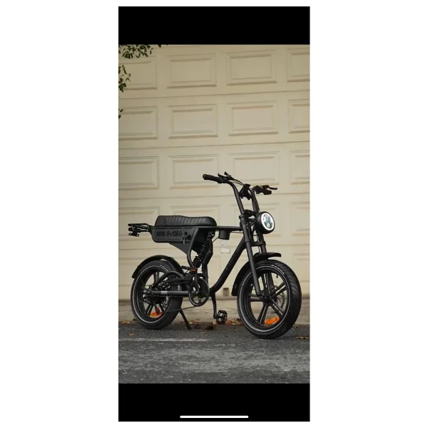 Ape Ryder Dc20 250 W İki Kişilik Elektrikli Bisiklet - Görsel 2