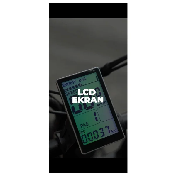 Ape Ryder Dc20 250 W İki Kişilik Elektrikli Bisiklet - Görsel 4