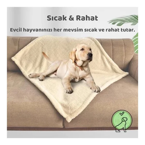 Beylini Kedi Köpek Battaniyesi Premium Peluş Evcil Hayvan Uyku Battaniyesi Yıkanabilir Krem (60x80) - Görsel 8