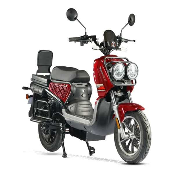 Motolux Pıtton 6000 2000 W Elektrikli Motosiklet - Görsel 3