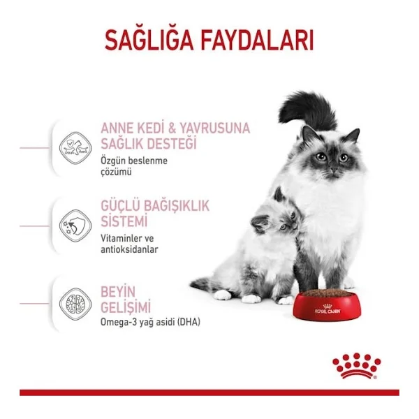 Royal Canin Mother & Babycat 4 Kg Yavru Kedi Maması - Görsel 3