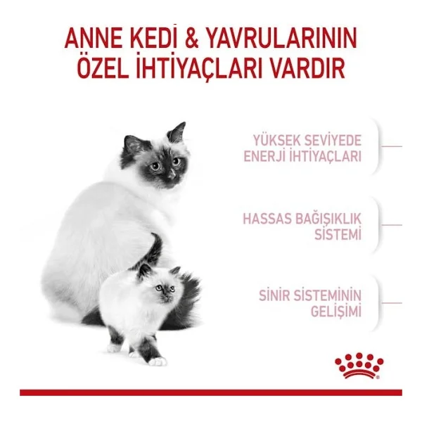 Royal Canin Mother & Babycat 4 Kg Yavru Kedi Maması - Görsel 4