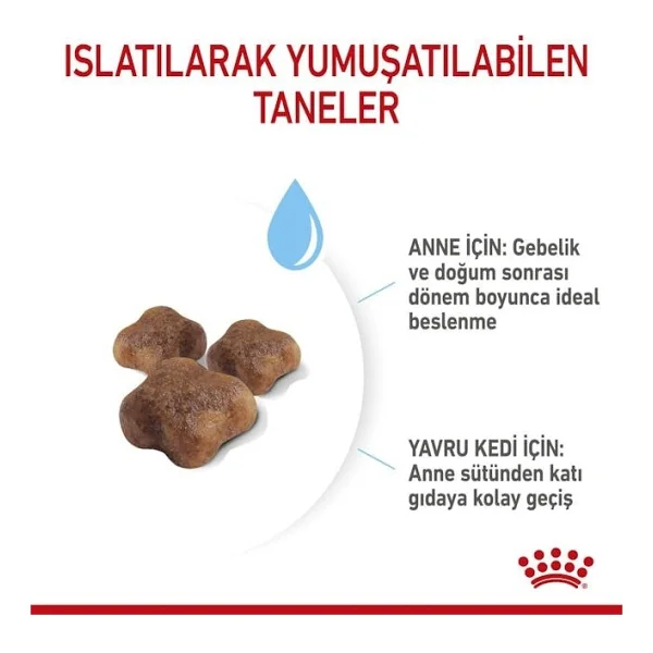 Royal Canin Mother & Babycat 4 Kg Yavru Kedi Maması - Görsel 5