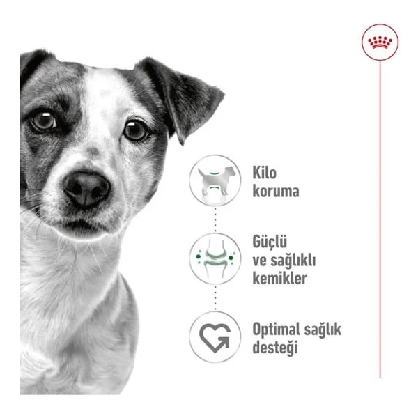 Royal Canin Mini Adult 4 Kg Küçük Irk Yetişkin Köpek Maması - Görsel 4