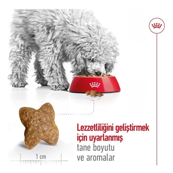 Royal Canin Mini Adult 4 Kg Küçük Irk Yetişkin Köpek Maması - Görsel 6