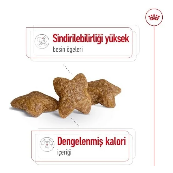 Royal Canin Mini Adult 4 Kg Küçük Irk Yetişkin Köpek Maması - Görsel 7