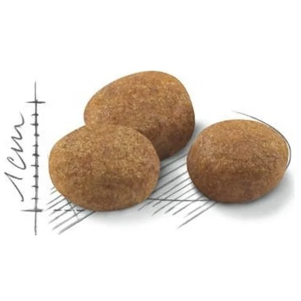 Royal Canin Sterilised 37 +7 Kısırlaştırılmış 1.5 Kg Yaşlı Kedi Maması - Görsel 2