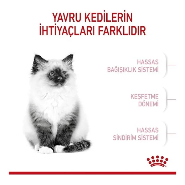 Royal Canin Kitten 400 Gr Yavru Kedi Maması - Görsel 10