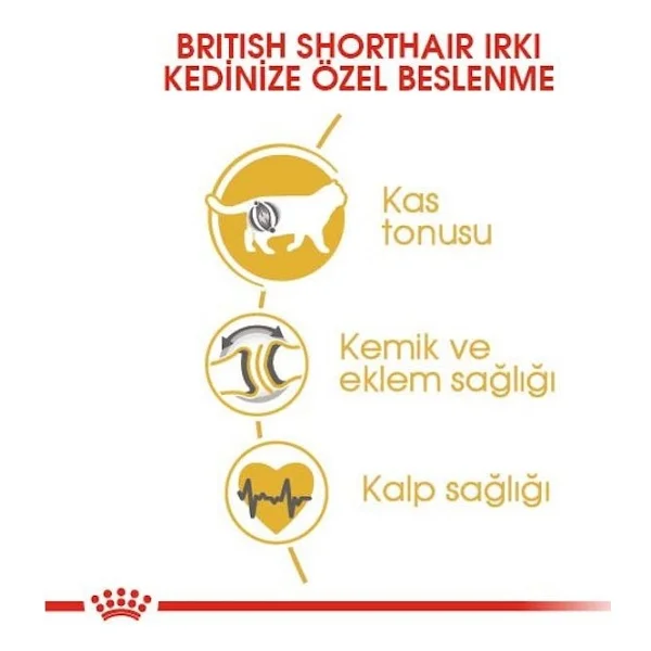 Royal Canin British Shorthair 400 Gr Yetişkin Kedi Maması - Görsel 5