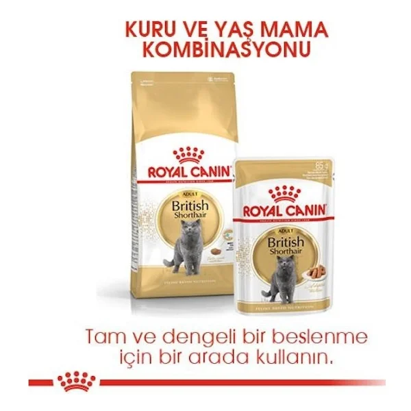 Royal Canin British Shorthair 400 Gr Yetişkin Kedi Maması - Görsel 6