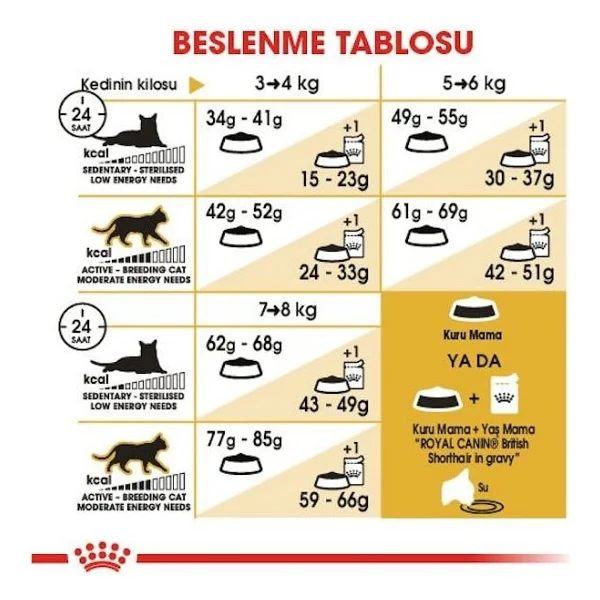 Royal Canin British Shorthair 400 Gr Yetişkin Kedi Maması - Görsel 8