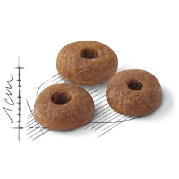 Royal Canin Fit 32 400 Gr Yetişkin Kuru Kedi Maması - Görsel 3