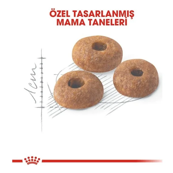 Royal Canin Fit 32 400 Gr Yetişkin Kuru Kedi Maması - Görsel 6