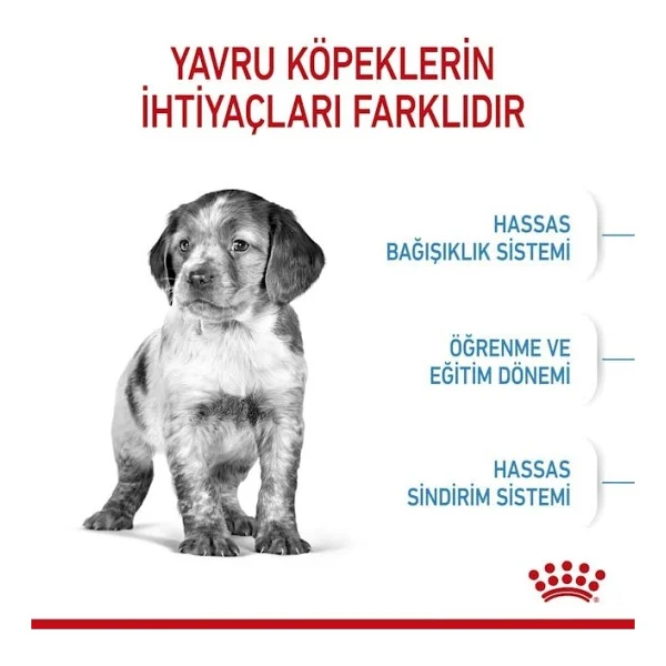 Royal Canin Medium Puppy 4 Kg Orta Irk Yavru Köpek Maması - Görsel 5