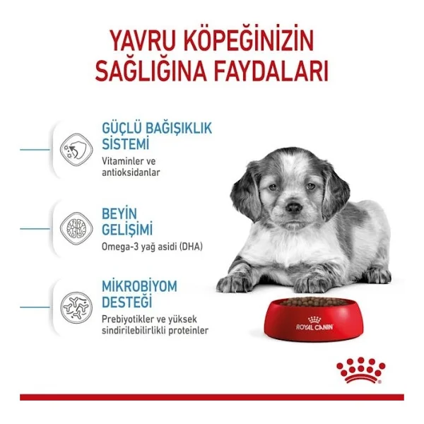 Royal Canin Medium Puppy 4 Kg Orta Irk Yavru Köpek Maması - Görsel 6