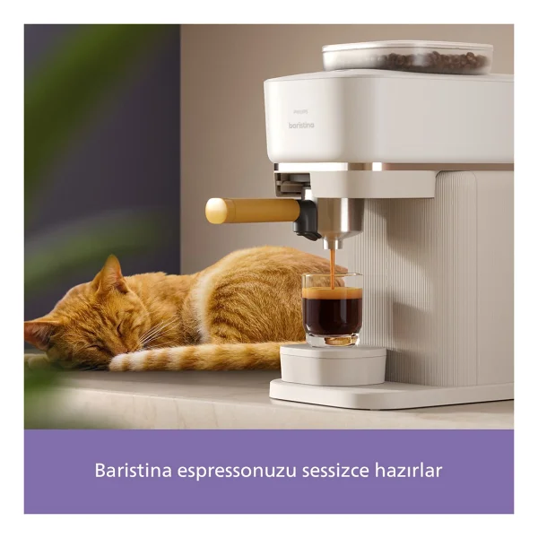 Philips Baristina Bar300/03 Yarı Otomatik Espresso Makinesi - Görsel 8