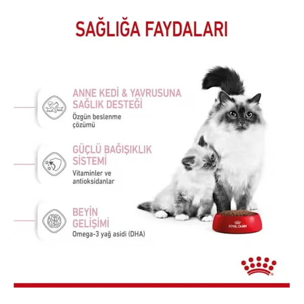Royal Canin Mother & Babycat 400 Gr Yavru Kedi Maması - Görsel 9