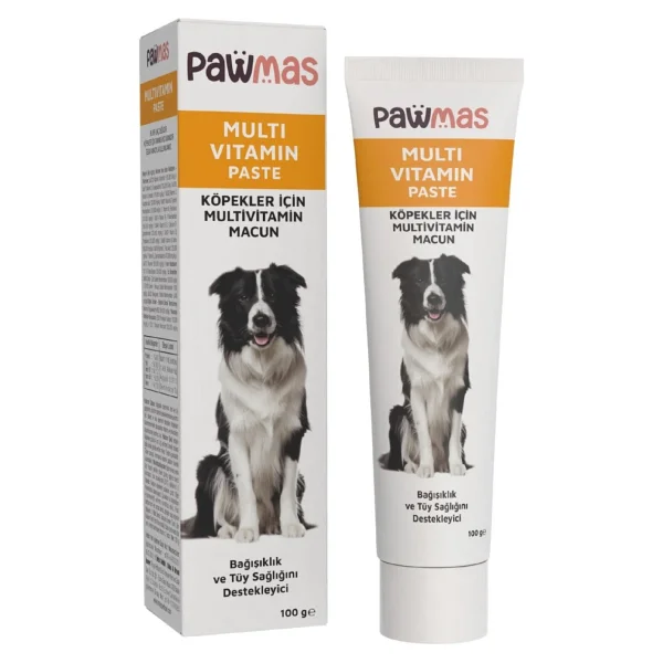 Pawmas Multivitamin 100 Gr Köpek Macunu - Görsel 2