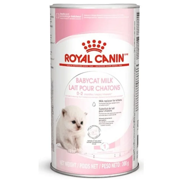 Royal Canin Babycat Milk 300 Gr Yavru Kedi Süt Tozu - Görsel 6