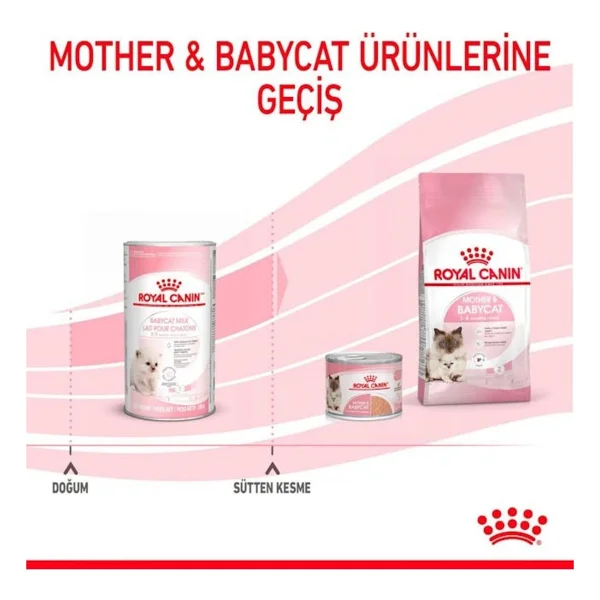 Royal Canin Babycat Milk 300 Gr Yavru Kedi Süt Tozu - Görsel 7