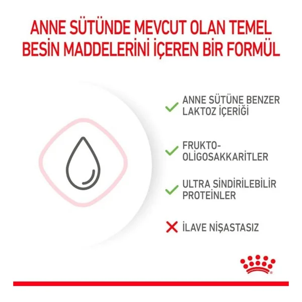 Royal Canin Babycat Milk 300 Gr Yavru Kedi Süt Tozu - Görsel 10