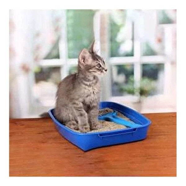 Proline Bebek Pudrası Kokulu 5 Lt Bentonit Kedi Kumu - Görsel 3