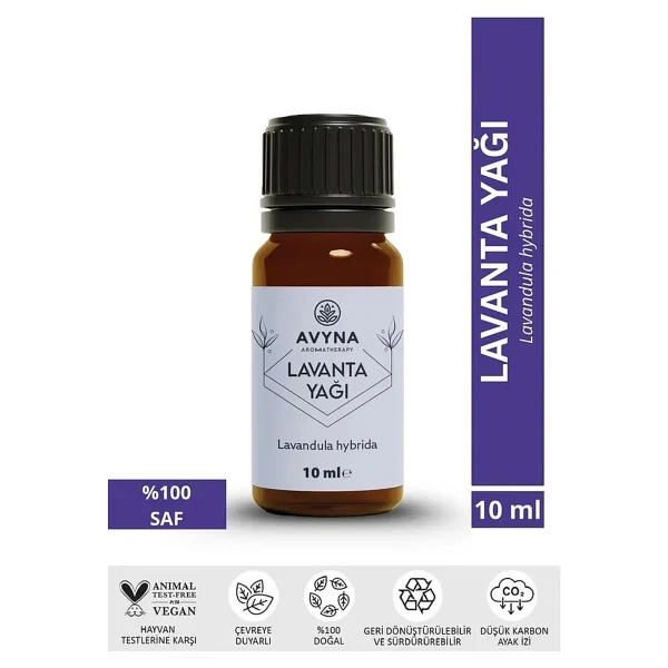 Reyo 3'lü Çamaşır Yün Kurutma Topu + %100 Saf Lavanta Esansı Hediye - Görsel 3