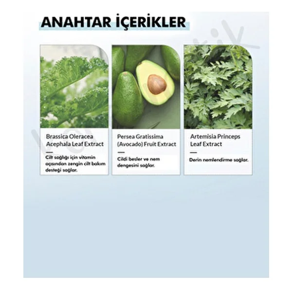 Dr. Althea 147 Barrier 50 Ml Nemlendirici Krem - Görsel 6