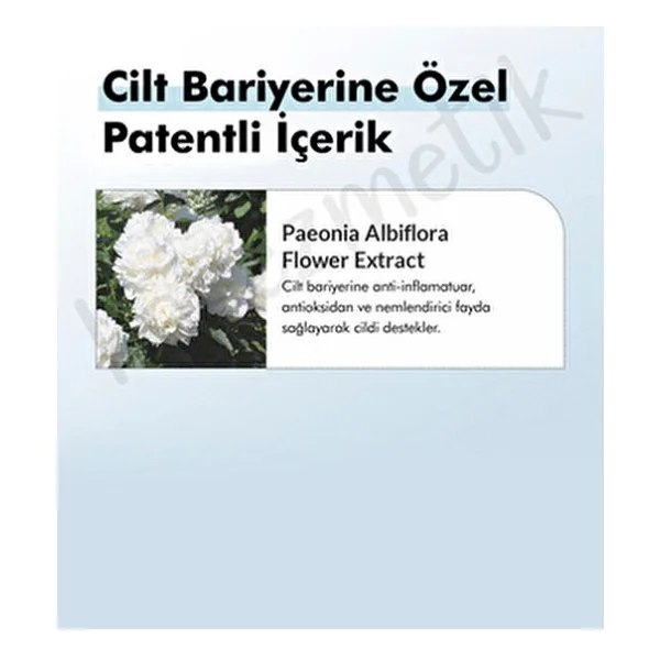 Dr. Althea 147 Barrier 50 Ml Nemlendirici Krem - Görsel 7