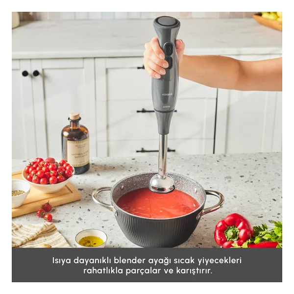 Karaca Pro Multimax 6in1 Space Gray 2000 W Mutfak Robotu - Görsel 6