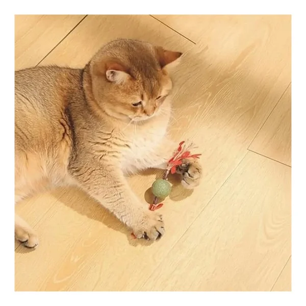 M-Pets Charmy Brancy Catnipli Kırmızı Kedi Oyuncağı - Görsel 4